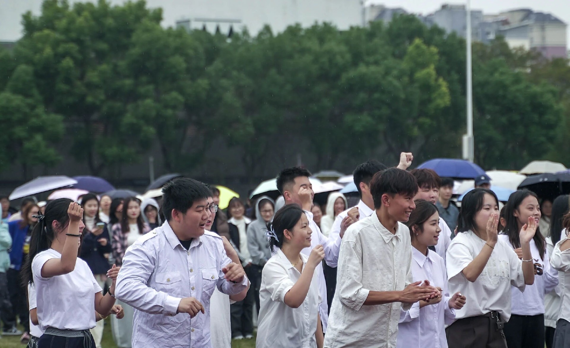 1762160261734852.jpg 59c0b223e6fa5c26d6d9ca98c7816319.jpg